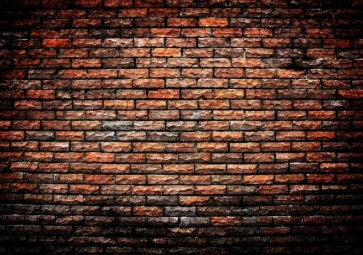 Stylish Vinyl Photography Wall Backdrops Stripe Brick Wall Background 