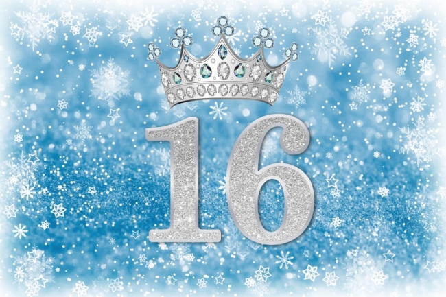 Glitter Snowflake Sweet 16 Birthday Backdrop Party Photography Background