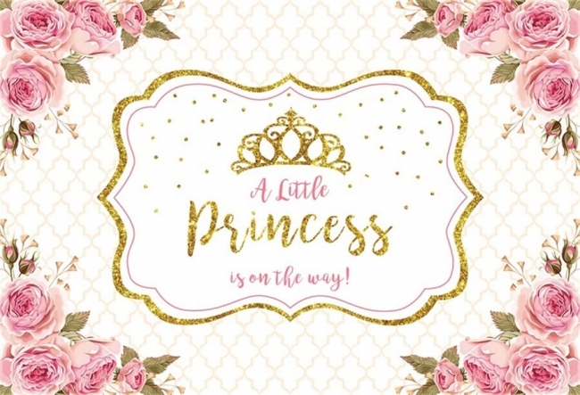 Baocicco 10x8ft A Little Princess is on Her Way Backdrop Baby Shower Shinny Diamond Denim Background for Photography Baby Shower for Girls Welcome Little Princess New Baby Portrait Studio 