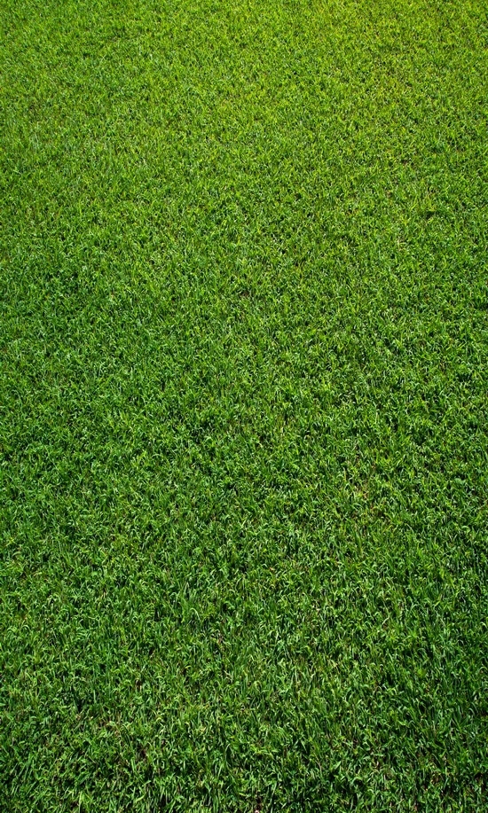12 turf background ideas