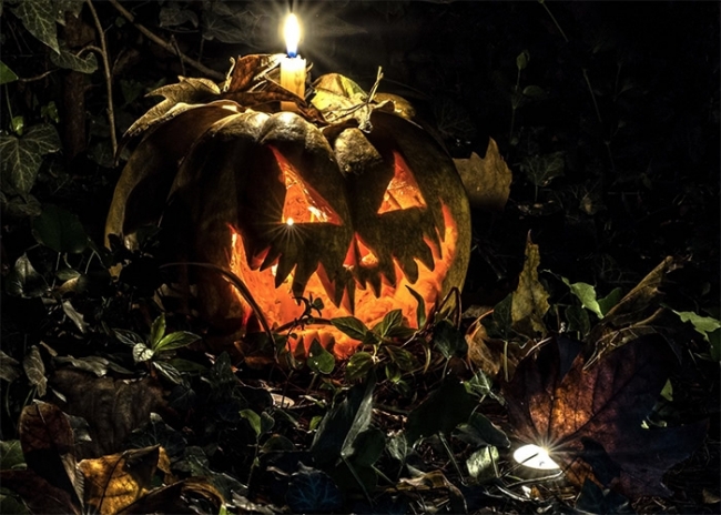 Halloween Tischdecke Scary Pumpkin 
