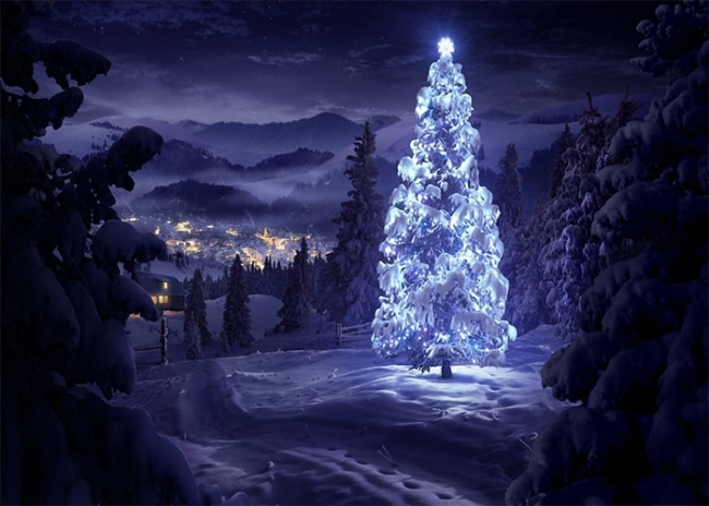 Snow Covered White Lights Decoration Christmas Tree Backdrop Party Decoration Prop Photography Background