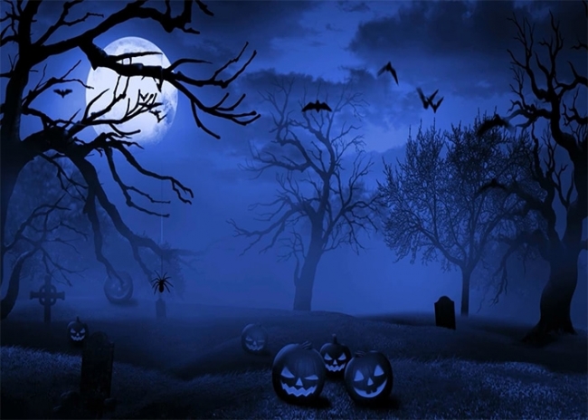 Toile De Fond Halloween – Cimetière Effrayant Avec Citrouilles – Décoration Vinyle