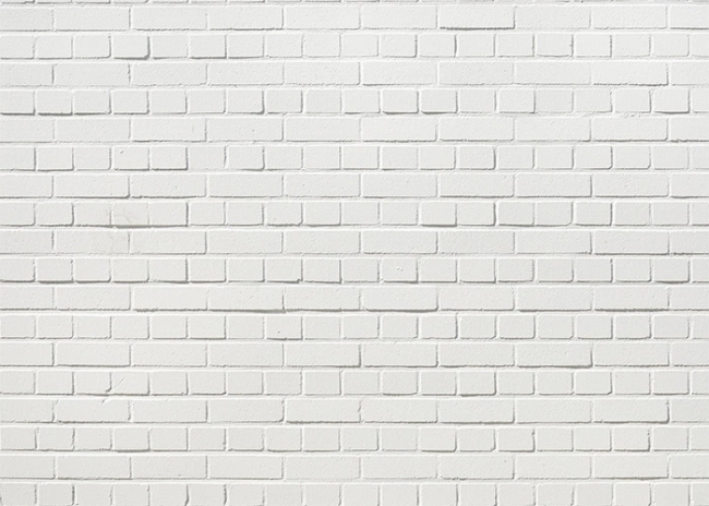Vintage White Brick Wall Backdrop Studio Photo Booth Photography Background Vintage White Brick Wall Backdrop Studio Photo Booth Photography Background