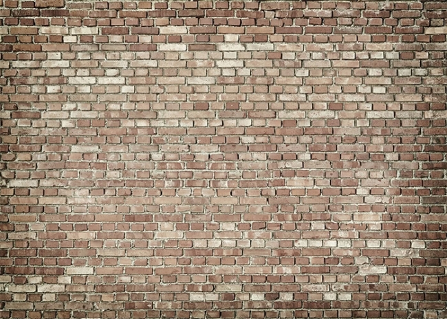 Light shop brick wall