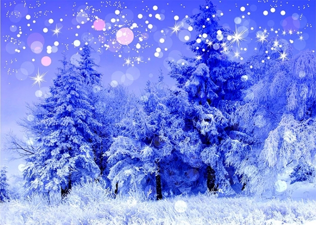Snow Covered Forest Winter Wonderland Backdrop Christmas Party Photography  Background