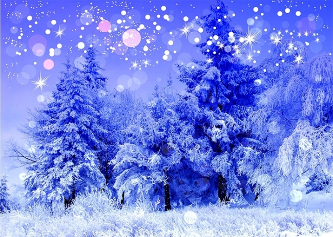 Christmas Photography Backdrops Winter Wonderland Decorations Backgrou –  webackdrops