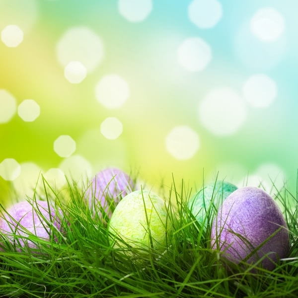 Easter Eggs on Grassland Vinyl Photography Easter Backdrops