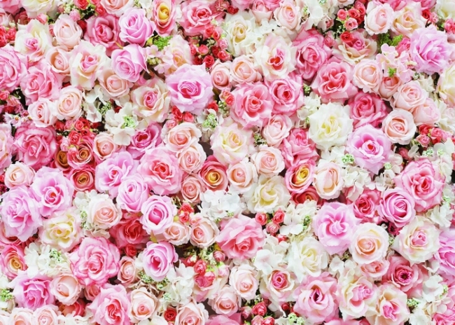 Vinyl 3d Flower Wallpaper Backdrop Bridal Shower Floral