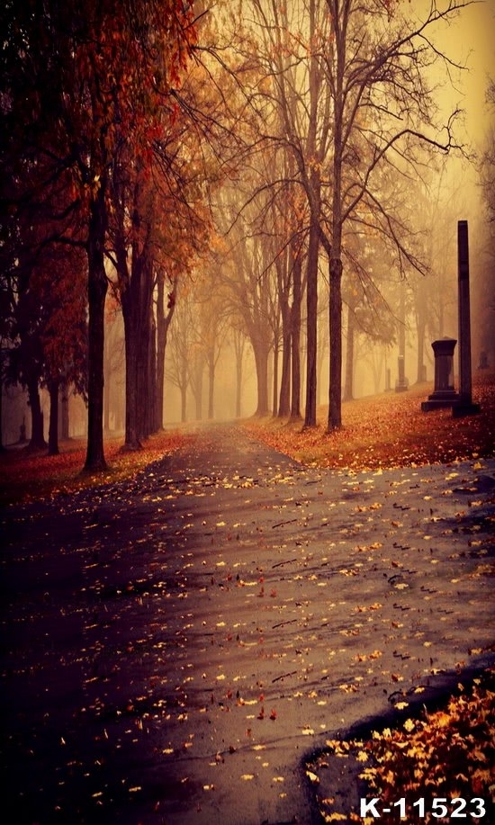 Autumn Fall Cloudy Day Public Park Scenic Photography Backgrounds and Props