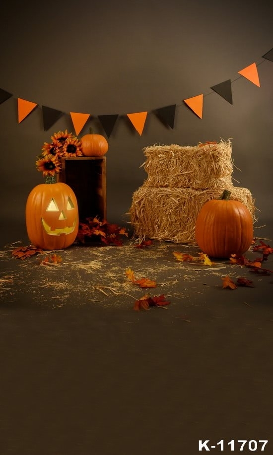 Pumpkin Haystack Banner Halloween Party Backdrops Decorations