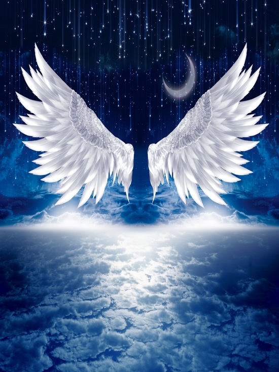 Beautiful Night Sky Moon Meteor Angel Wings Backdrop Wallpaper