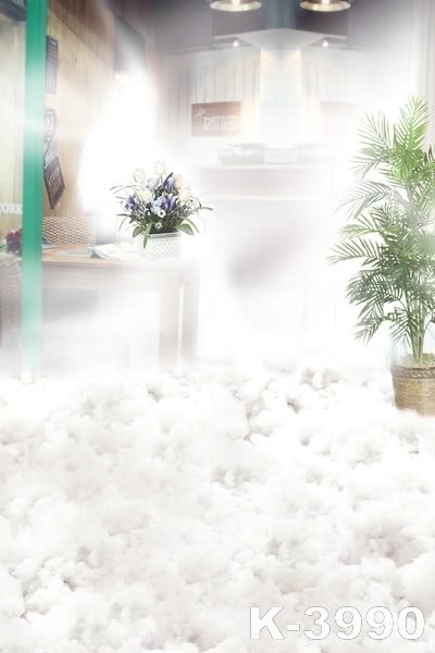 Dreamy Indoor Bright Wedding Photo Backdrops Studio Background