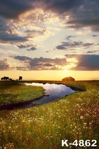 Vast Grassland Flowers River Cows Beautiful Scenery Photo Prop Background