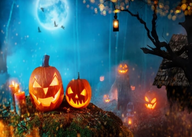 Pumpkin Theme Halloween Party Backdrop Decoration Prop Photography ...