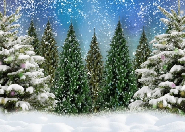 Snow Covered Christmas Tree Backdrop Stage Studio Party Background