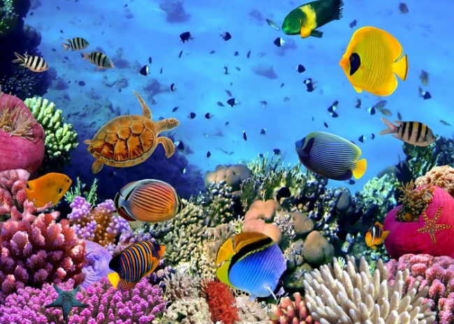 Ocean Landscape 3d Aquarium Under The Sea Poster Backdrop Custom Fish Fank Background Decoration Prop
