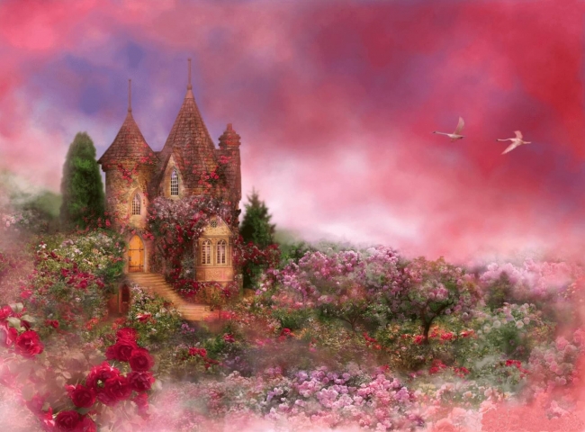 Sky in wonderland