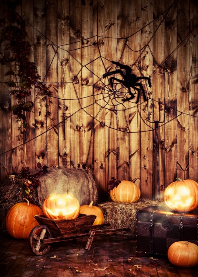 Spider web discount party decorations