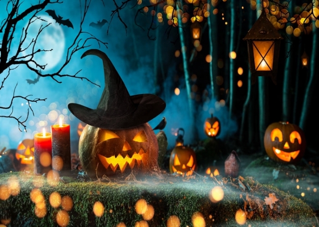 Castle Pumpkin Theme Halloween Background Party Backdrop Props