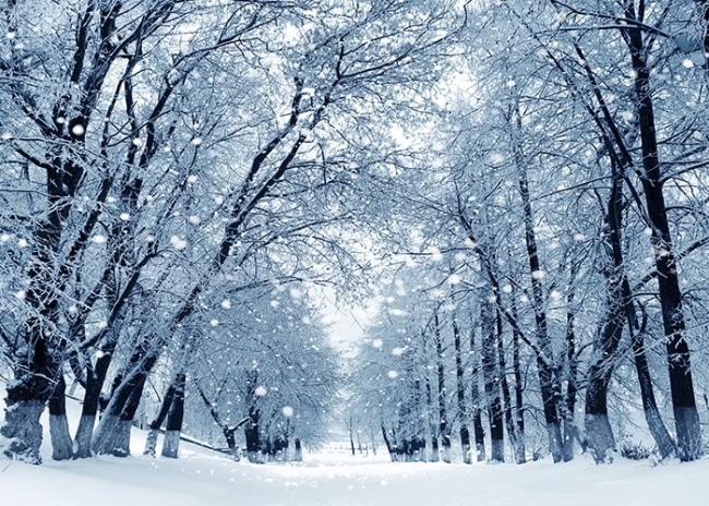 Outdoor Personalized Winter Snow White Christmas Backdrop Photography  Background