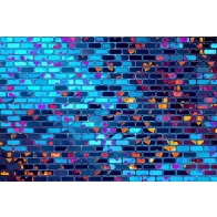 Personalized Colorful Brick Wall Backdrop Studio Video Photography Background