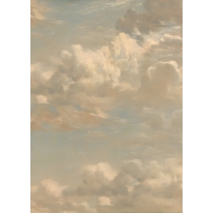 RetroAbstract Cloud Texture Portrait Backdrop Photography Background