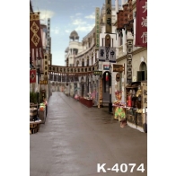 Retro Chinese Street Road Building Backdrops Vinyl Photography Background
