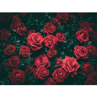 Personalized Red Rose Flower Wall Backdrop Valentines Wedding Party Photography Background
