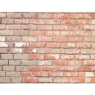 Rustic Surface Cement Brick Wall Backdrop Studio Party Photography Background