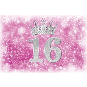Girl Sweet 16 Birthday Snowflake Backdrop Party Photography Background