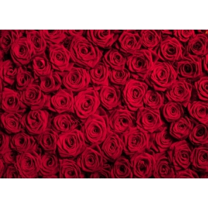 Red Rose Flower Background Valentine's Day Backdrop