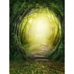 Green Fairy Forest Backdrop Studio Stage Photography Background