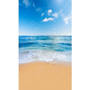 Blue Sky Sea Sandy Beach Backdrop  Studio Stage Photography Background