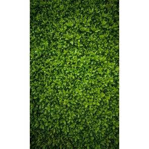 Attractive Fashion Custom Photography Background Grass Wall Backdrop
