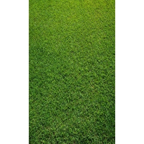 Fashion Custom Photography Background Props Grass Wall Backdrop