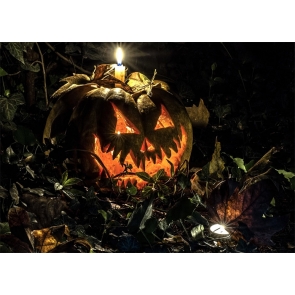 Scary Pumpkin Theme Halloween Party Backdrop Decoration Prop Photography Background