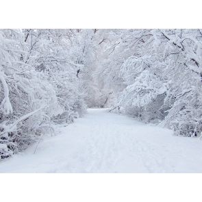 Winter Snow Covered Wonderland Backdrop Christmas Party Photography Background