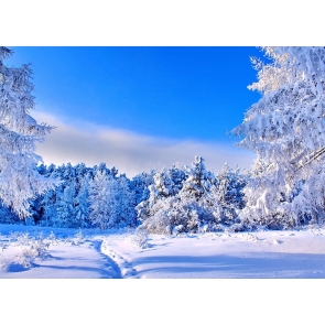 Christmas Wonderland Snow Covered Winter Scene Backdrop Stage Decoration Prop Photography Background