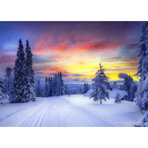 In The Sunset Snow Covered Winter Scene Backdrop Christmas Party Decoration Prop