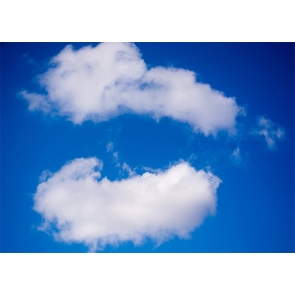 Blue Sky Two Flowers White Cloud Backdrop Photo Booth Photography Background Decoration Prop