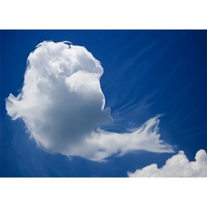 Beluga Whale Shape Cloud Backdrop Photo Booth Photography Background Stage Decoration Prop