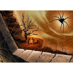 Large Spider Web Halloween Backdrop Photo Booth Photography Background Stage Decoration Prop