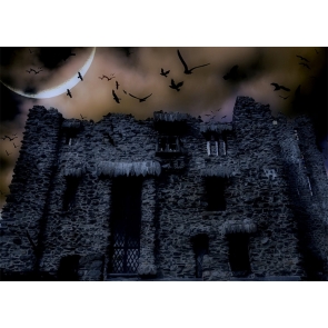Scary Dark Castle Crow Flight Halloween Backdrop Stage Photo Booth Photography Background