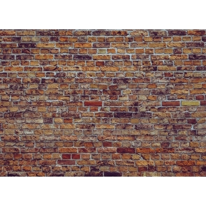 Personalise Retro Brick Wall Backdrop Studio Video Photography Background Decoration Prop