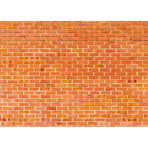 Personalise Red Brown Brick Backdrop Studio Photo Booth Photography Wall Background