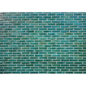 Retro Personalise Green Brick Wall Backdrop Studio Video Photography Background Decoration Prop