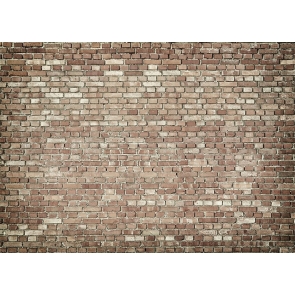 Personalise  Retro Light Brown Brick Wall Backdrop Studio Video Photography Background Decoration Prop