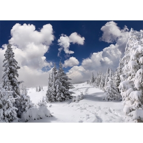 Snow Covered Winter Wonderland Backdrop Christmas Party Photography Background