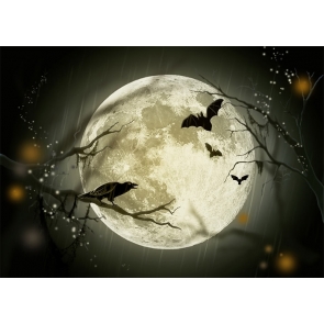 Under The Full Moon Dark Bat Halloween Party Backdrop Decoration Prop Photography Background